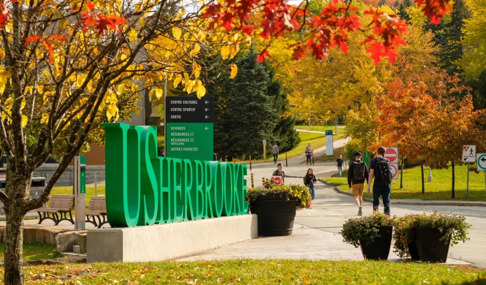 Université de Sherbrooke