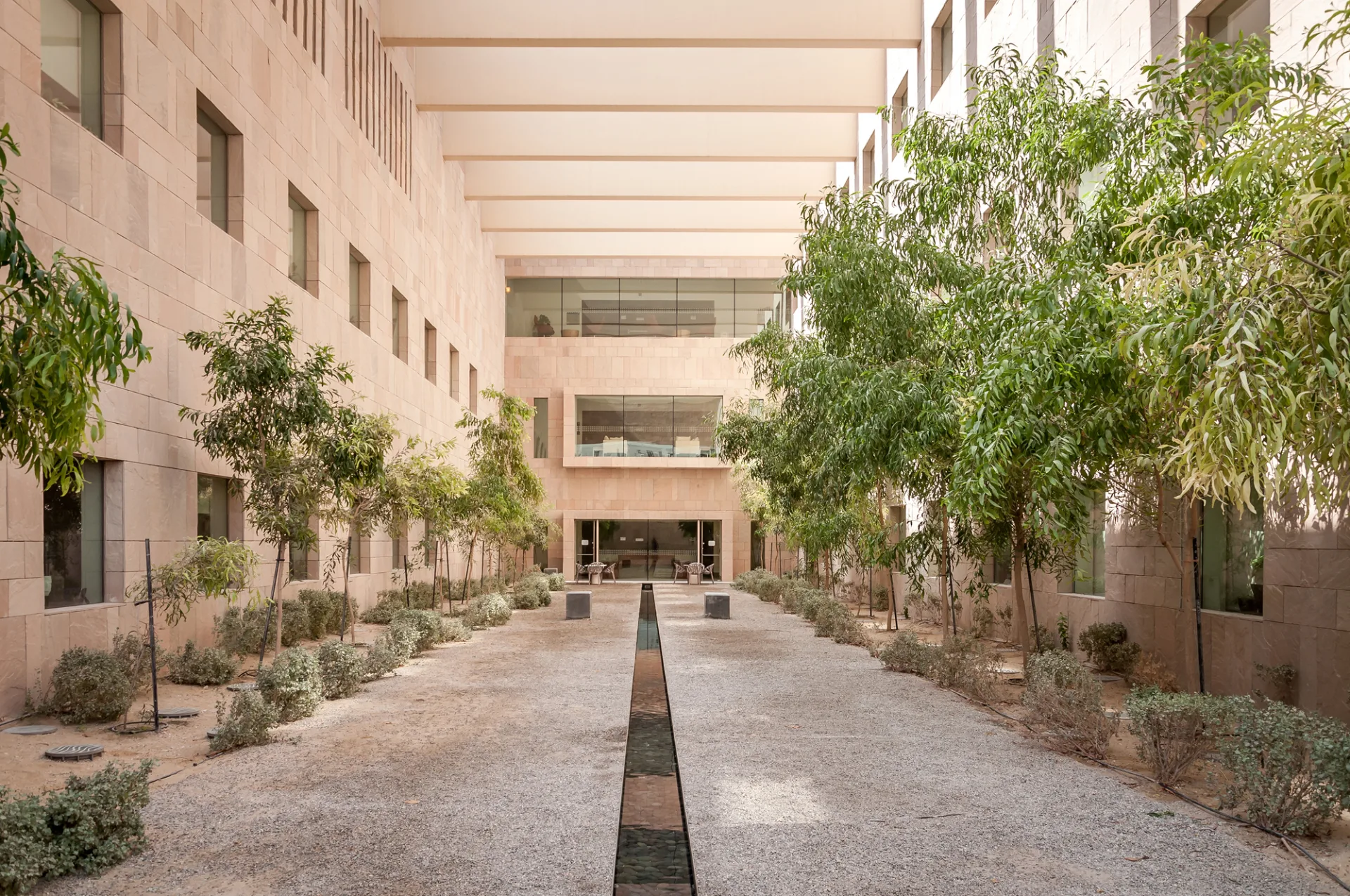 Georgetown University Qatar