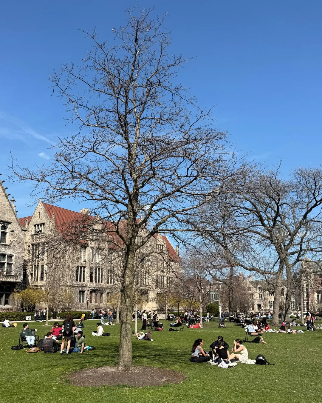 University of Chicago
