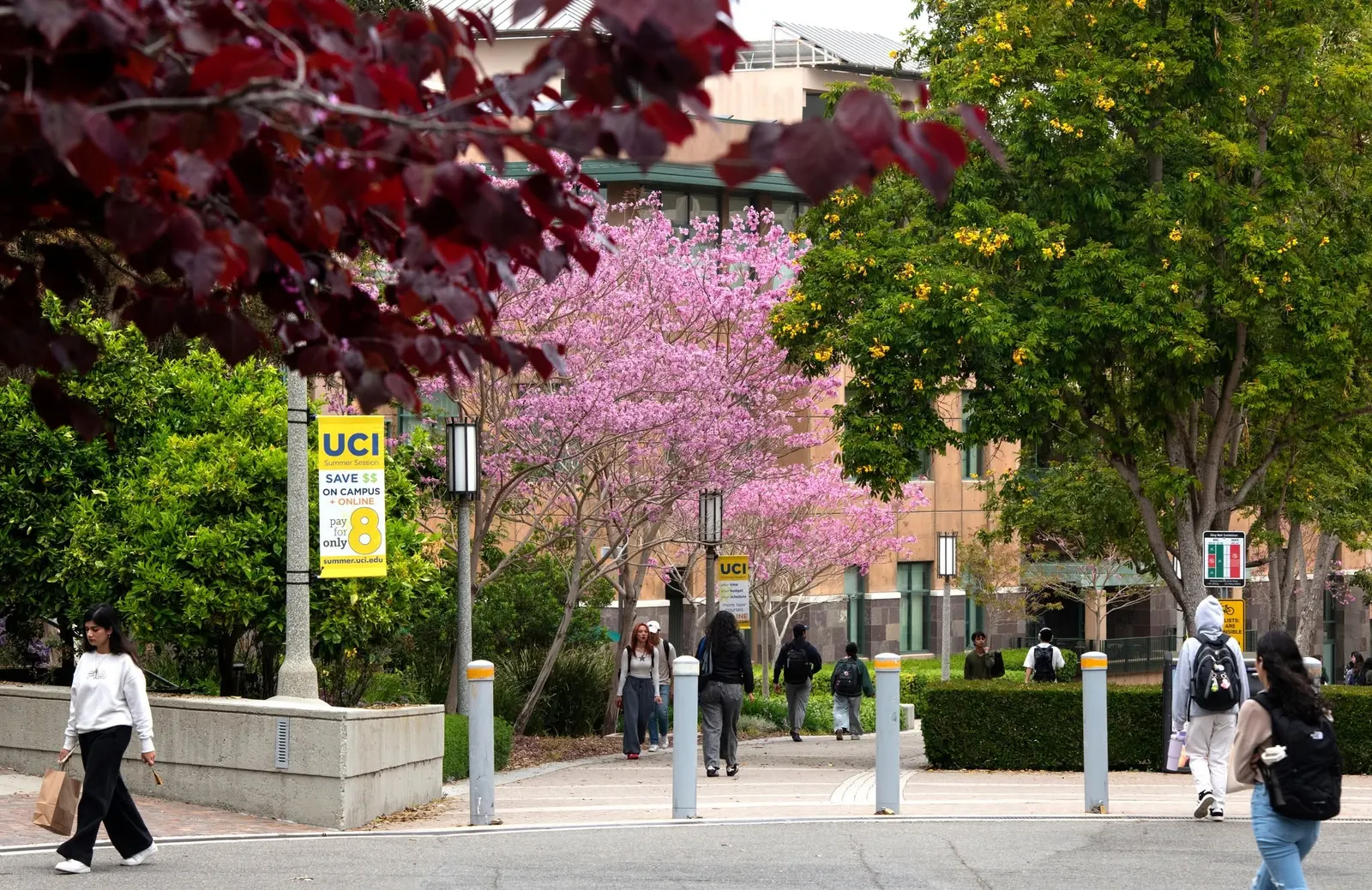 University of California Irvine