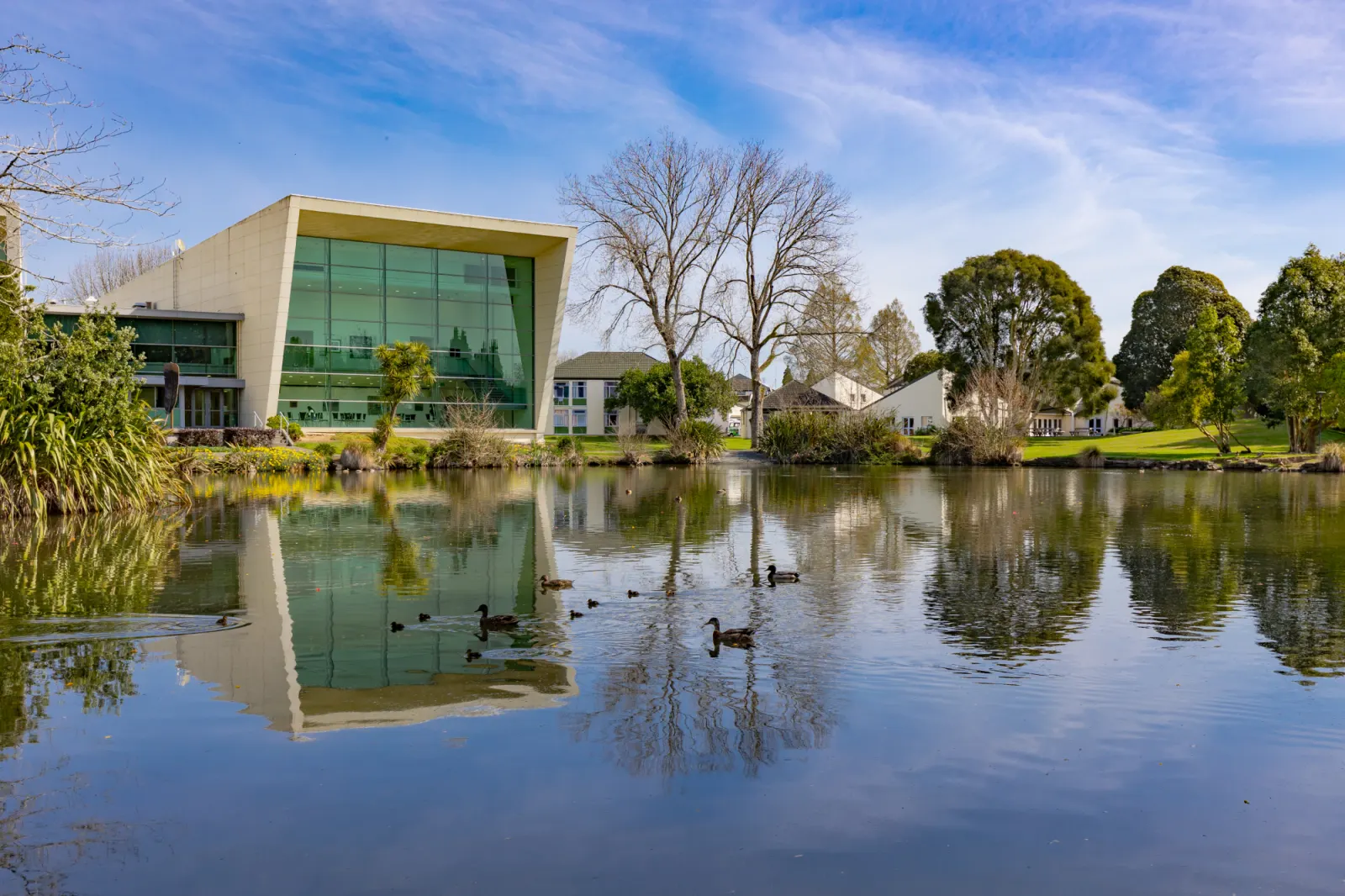 University of Waikato