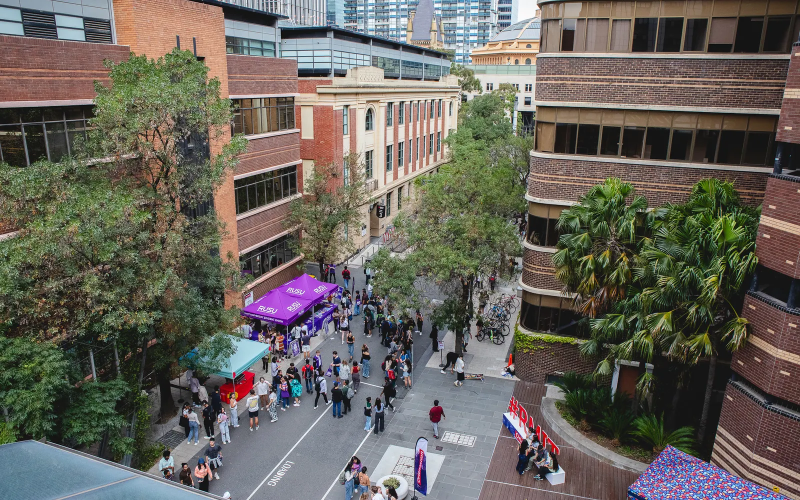 RMIT University