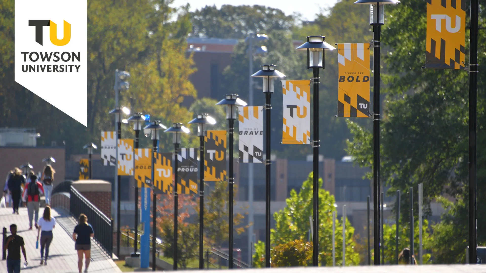 Towson University