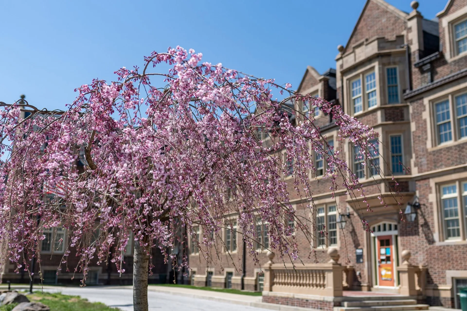 Towson University