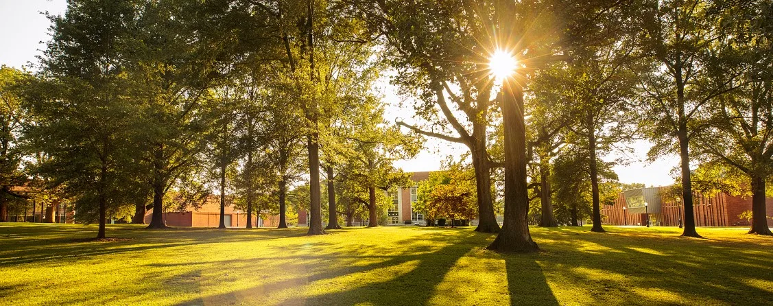 University of Tennessee - Martin