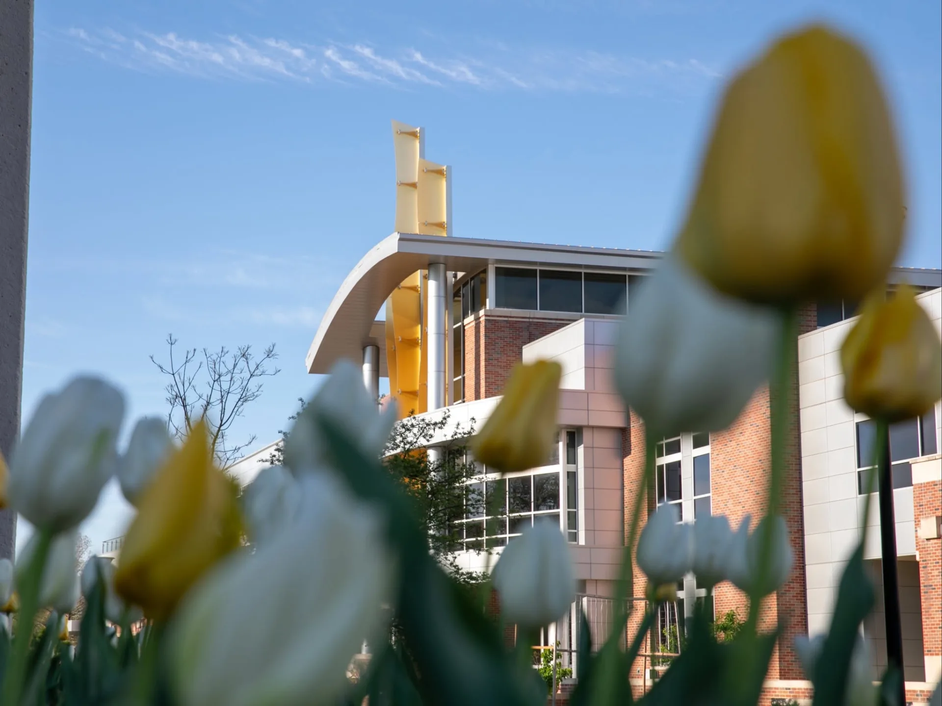 Wichita State University
