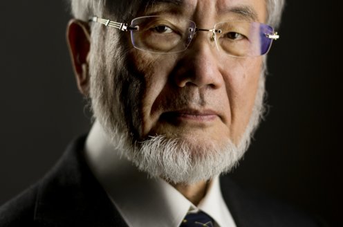 Yoshinori Ohsumi