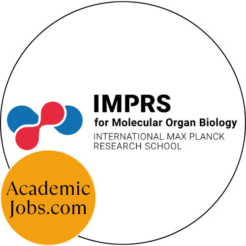 IMPRS for Molecular Organ Biology logo