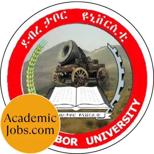 Debretabor University Jobs logo