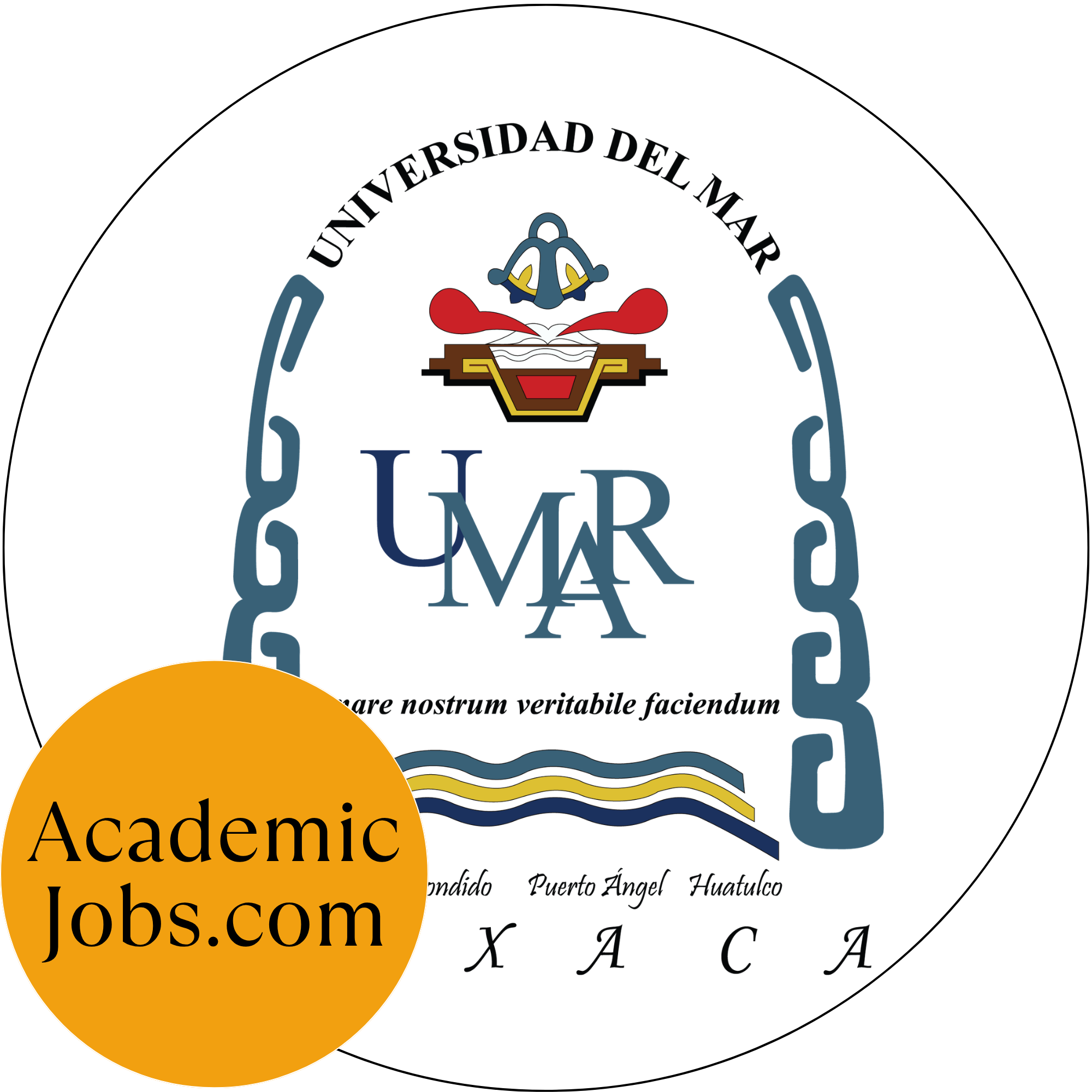 Universidad del Mar logo