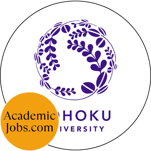 Professor in Integrated Circuit Systems