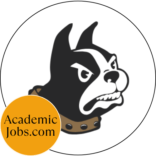 Assistant Professor of International Affairs