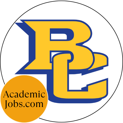 Director of Engineering Programs