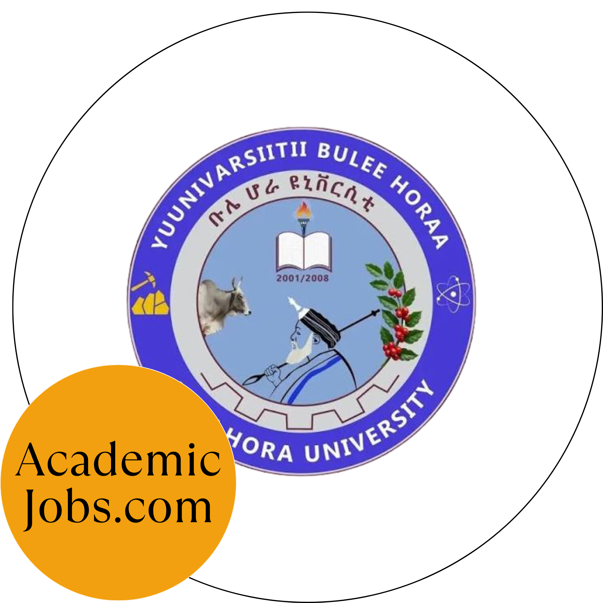 BHU - Bule Hora University logo