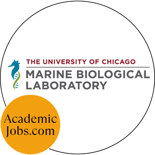 Financial Planning & Research Analytics Analyst