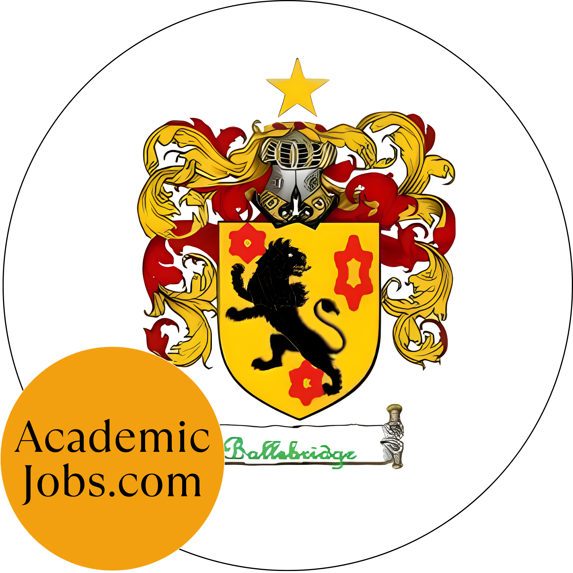 Ballsbridge University logo