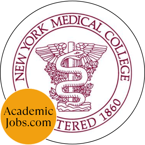 Division Chief of Physical Therapy and Program Director, Doctor of Physical Therapy Program