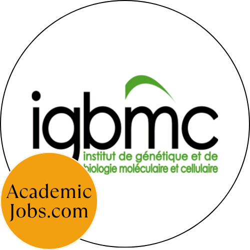 PhD position: Structural and Mechanistic Basis of TIP60 Complex Function in Chromatin Regulation and Genome Integrity