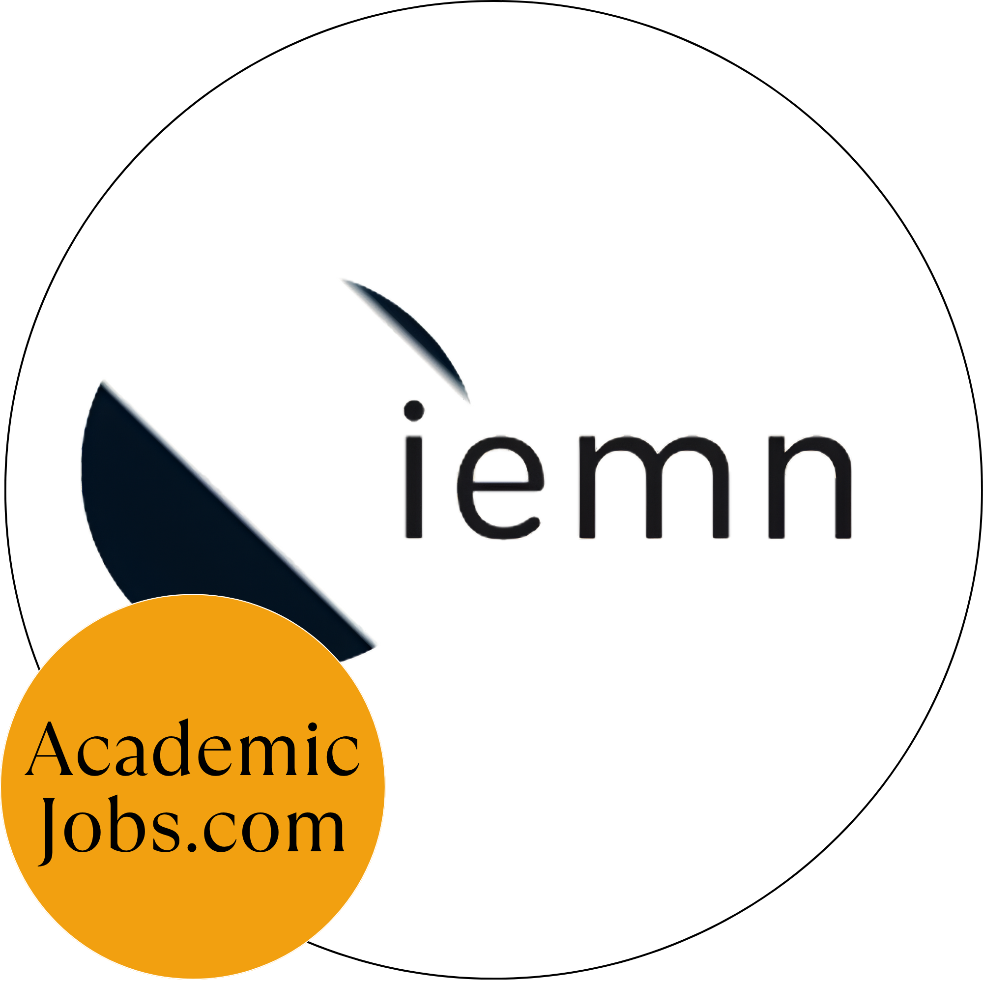 Logo do Institute of Electronics, Microelectronics and Nanotechnology (CNRS IEMN)