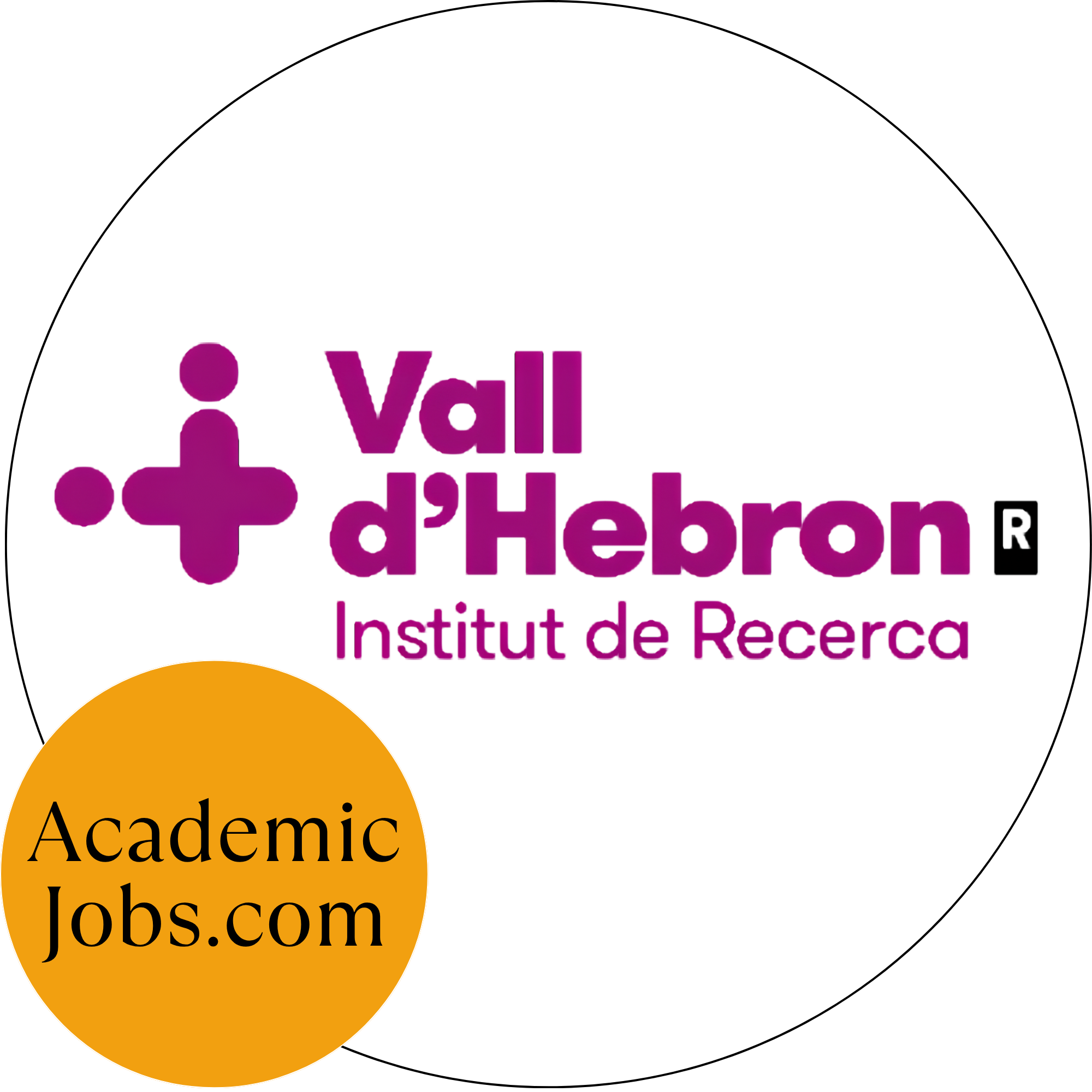  Vall d'Hebron University Hospital Foundation - Research Institute