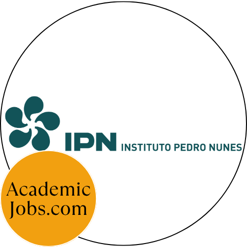 Instituto Pedro Nunes Jobs