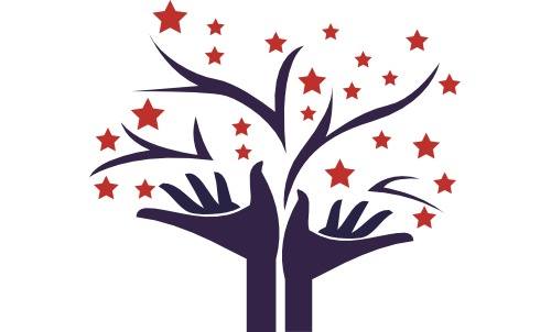 North American International School of Pretoria logo