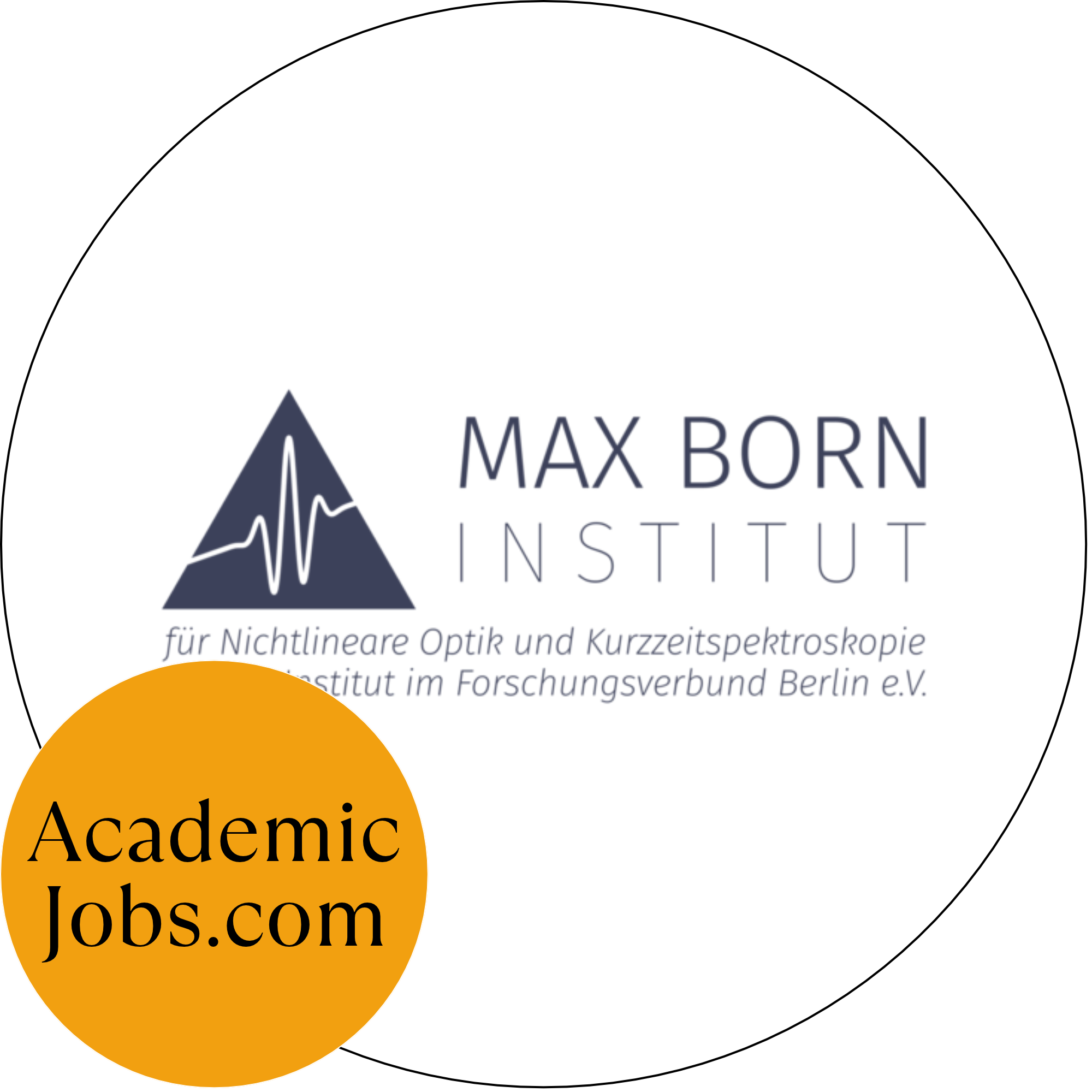 Max Born Institute for Nonlinear Optics and Short Pulse Spectroscopy logo