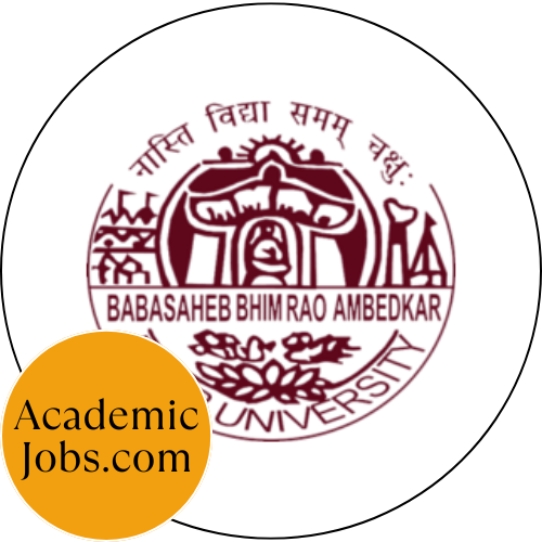 B. R. Ambedkar Bihar University logo