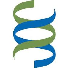 Brighton and Sussex Medical School logo