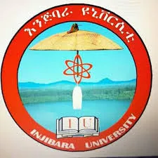 Injibara University