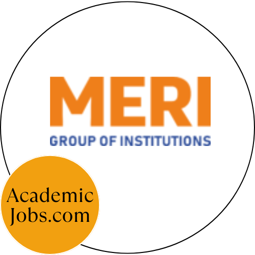 Meri Group Of Institute logo