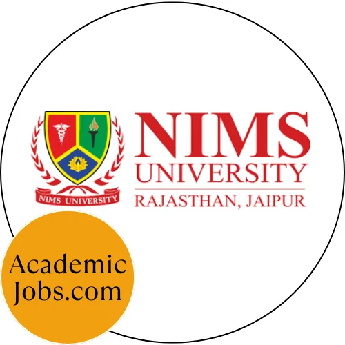 NIMS School of Computer and Artificial Intelligence