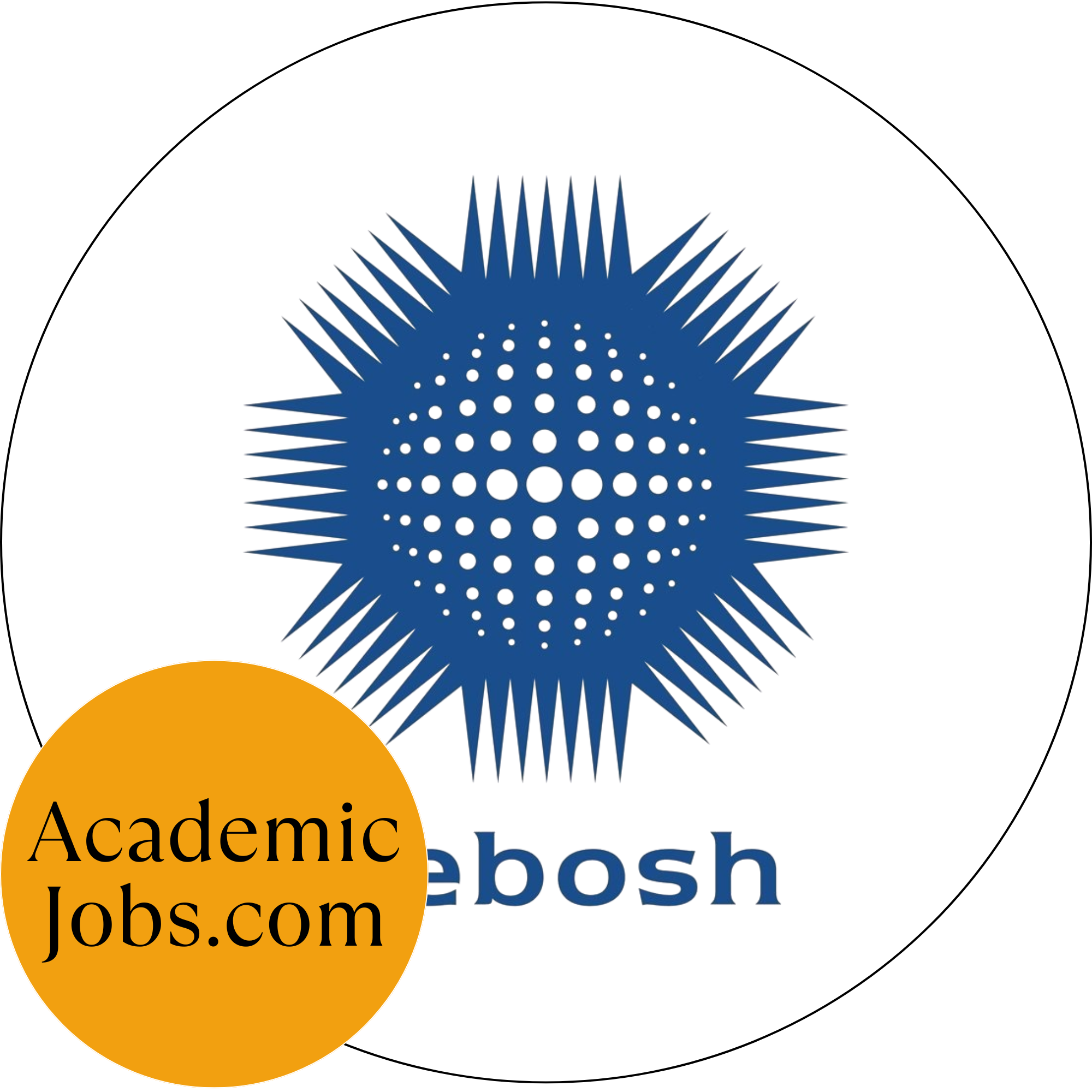 National Examination Board in Occupational Safety and Health logo