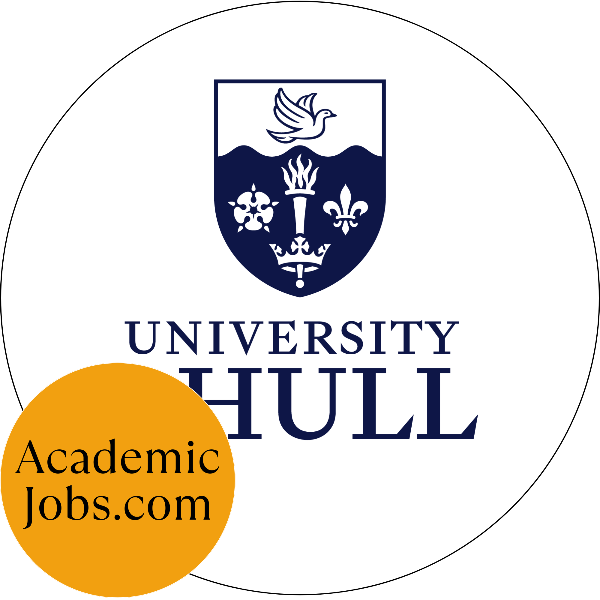 University of Hull logo